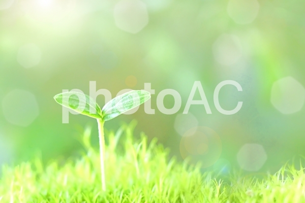 image06