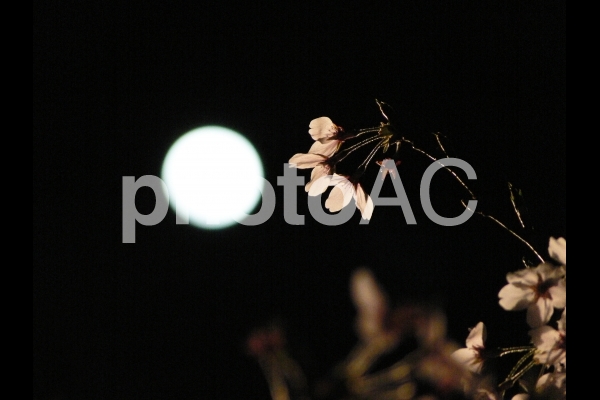 image11