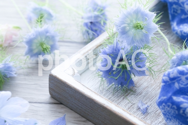 image12