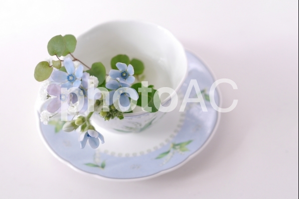 image13